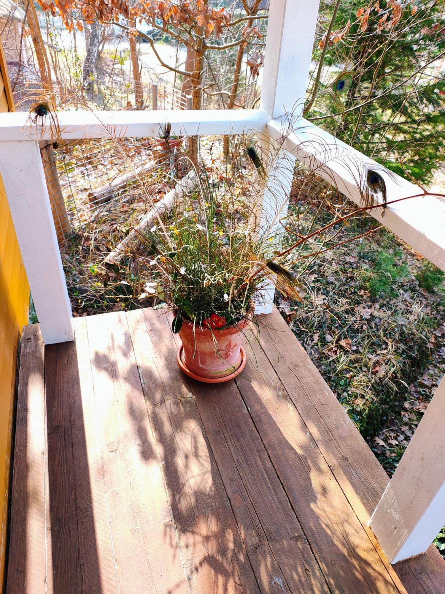 バーベ Zu Haus In Der Ferneヴィラ エクステリア 写真
